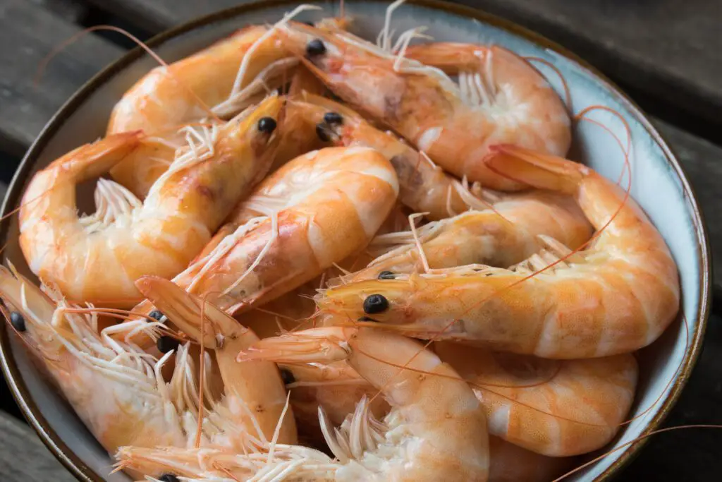 What does Food Poisoning from Shrimp feel like?
