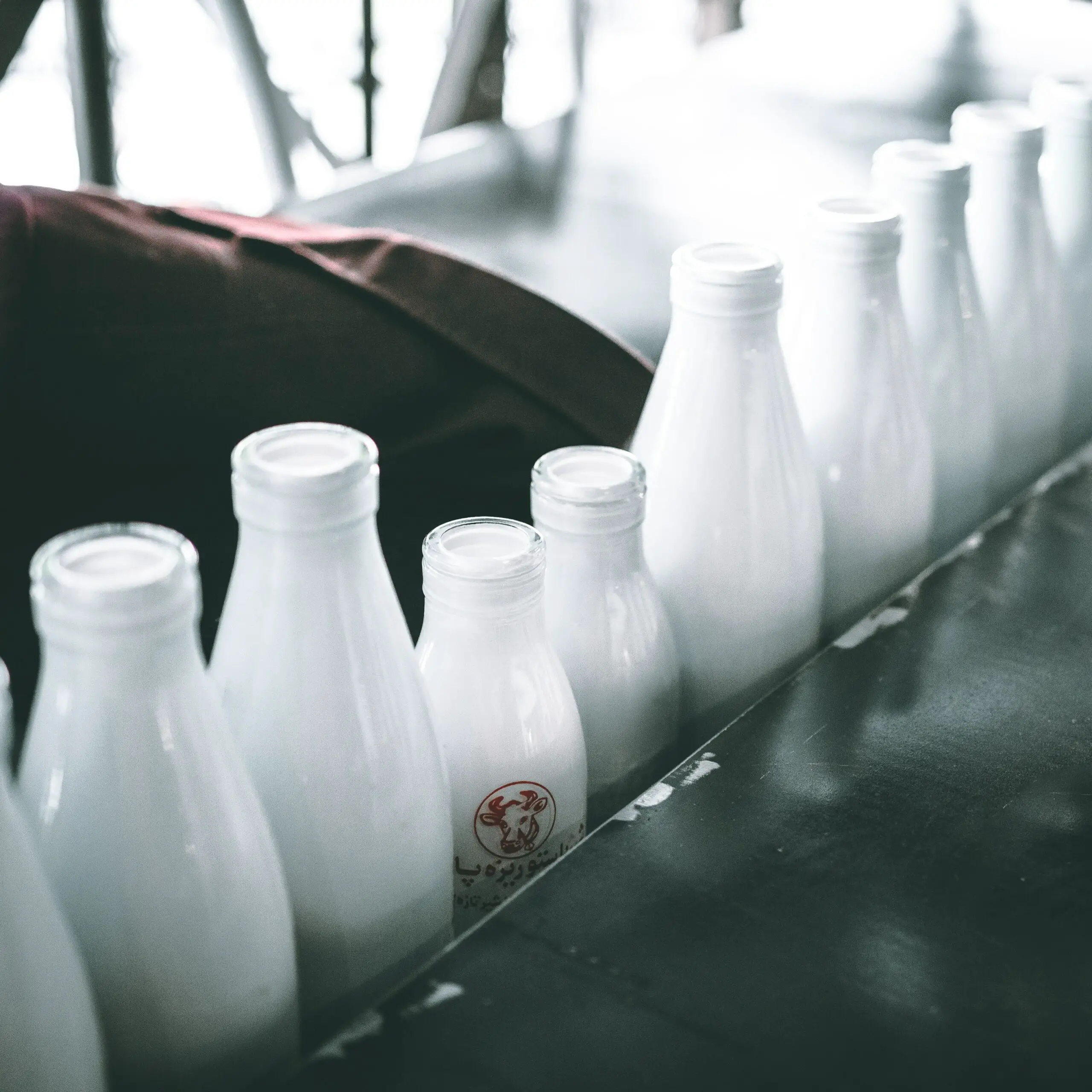What Milk is best for high Cholesterol?