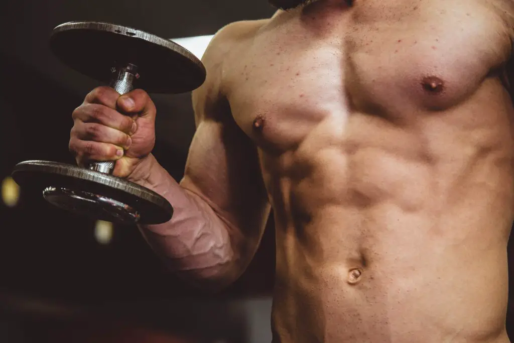 What is the Strongest muscle in the Human Body list?