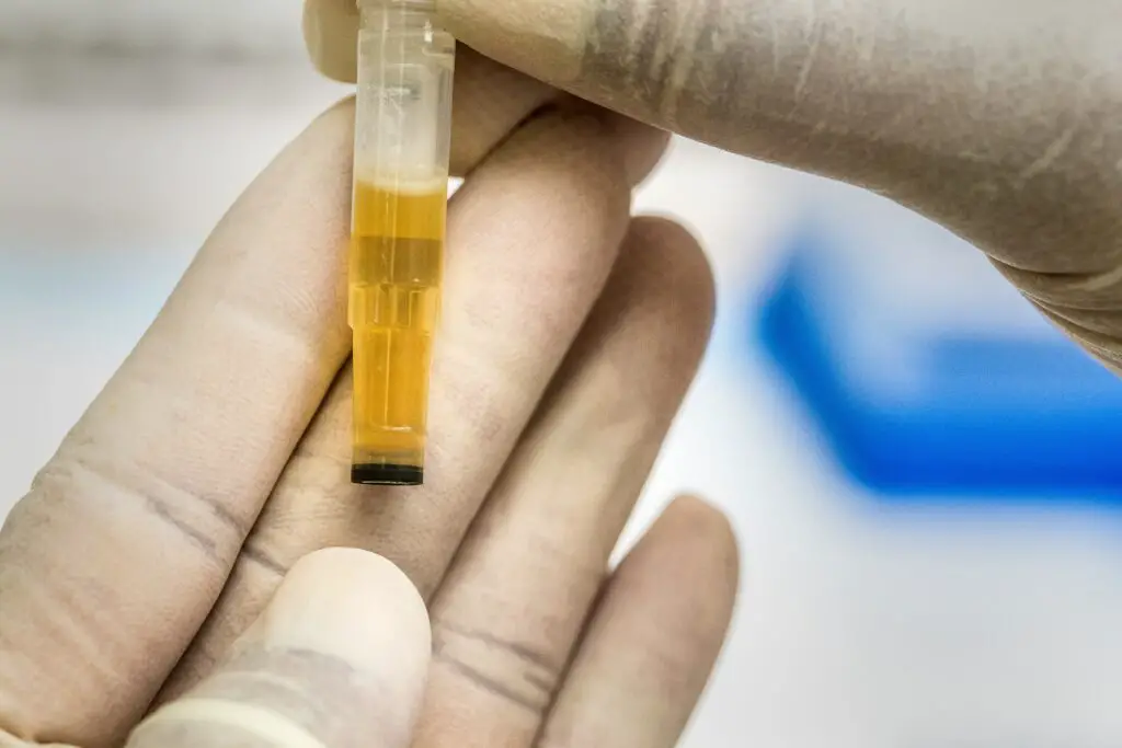 How long does delta 10 stay in your urine?