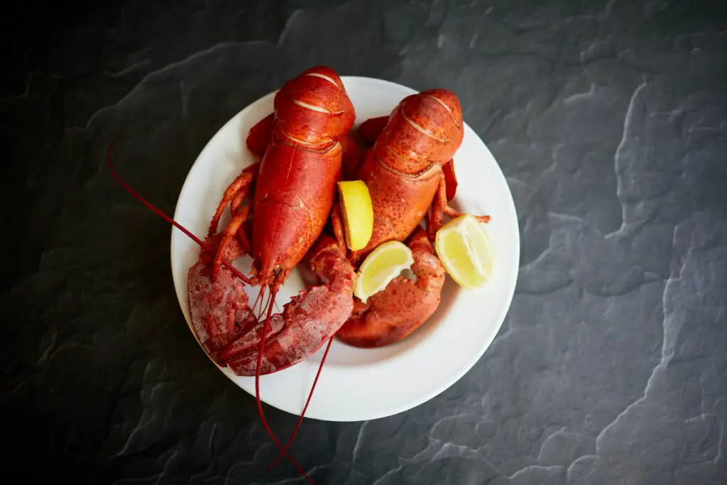 What Fish tastes most like Lobster?