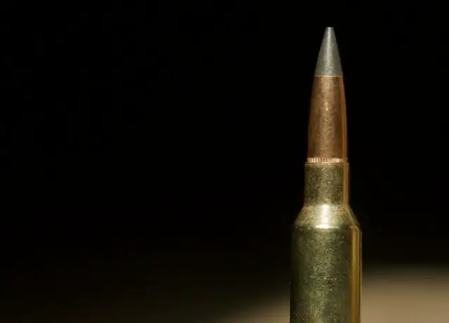 What is black tip 30 06 ammo?