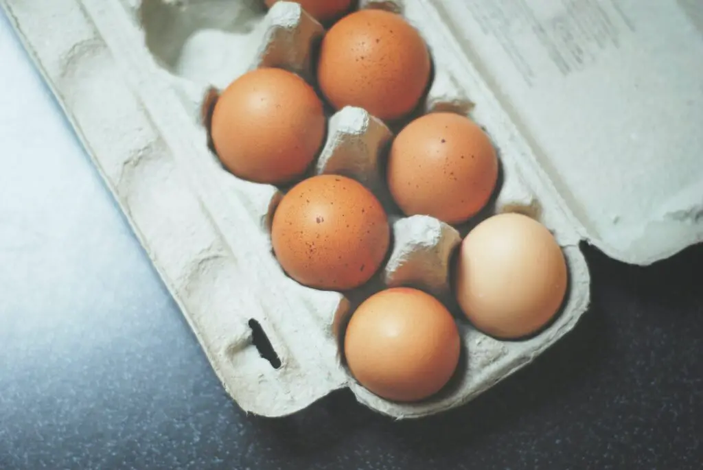 Which part of egg has most protein?