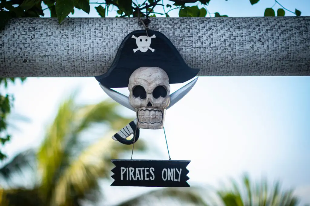 What are the 3 types of pirates?