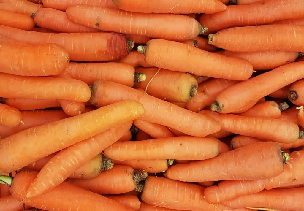 How many Carrots can I eat a day?