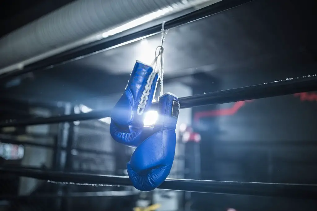 Top 7 Best Boxing Gloves With…