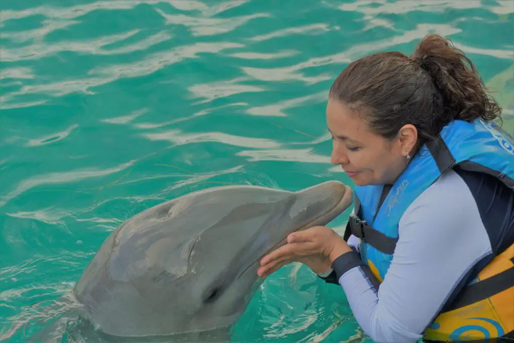 Why do Dolphins hump on People?