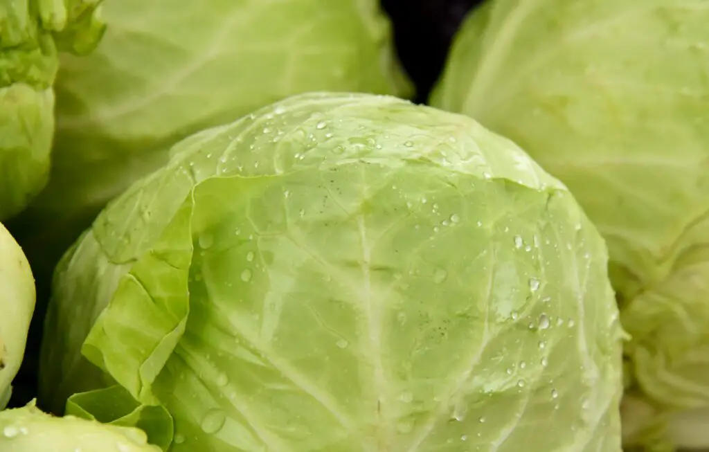 How Do You Get Rid Of Gas In Cabbage?