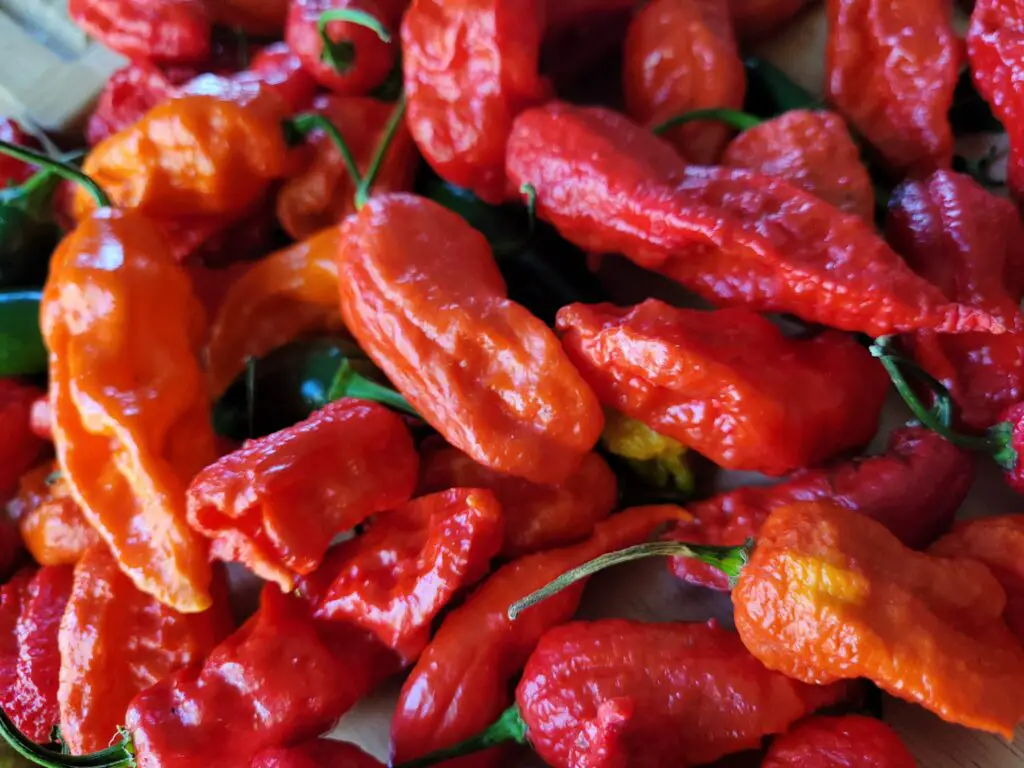 How hot is ghost pepper?