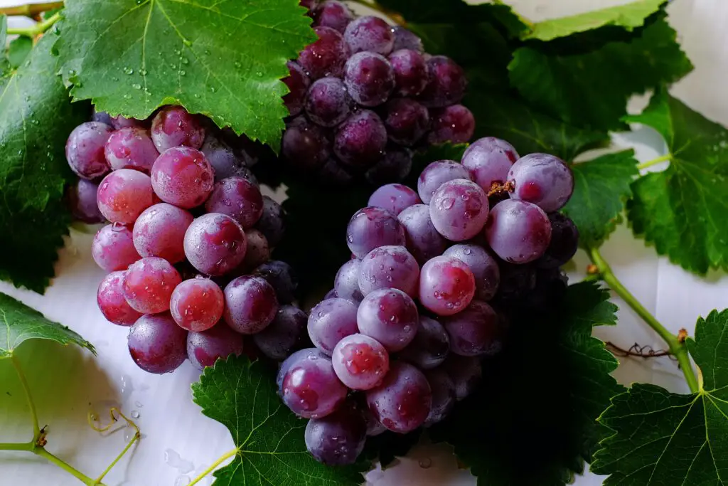 Do Grapes need to be refrigerated?