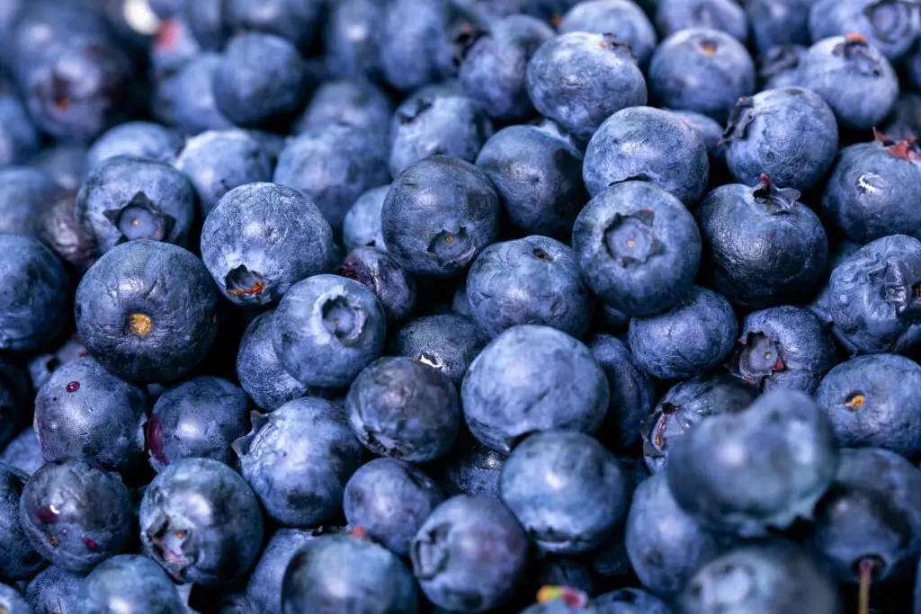 Are Blueberries Acidic?