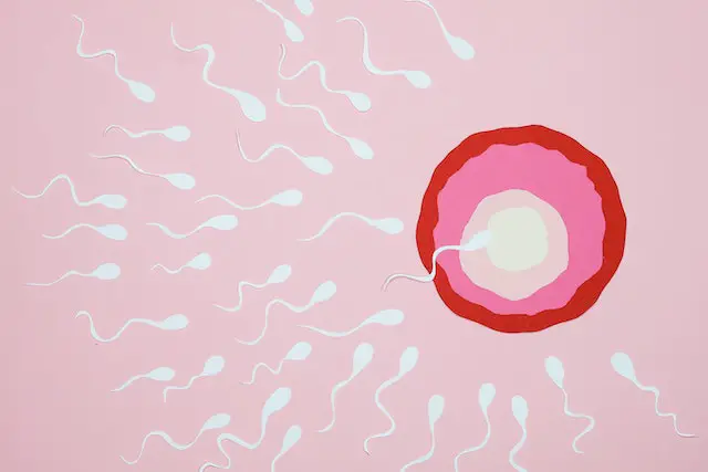 What happens if i hold my sperm from coming out?