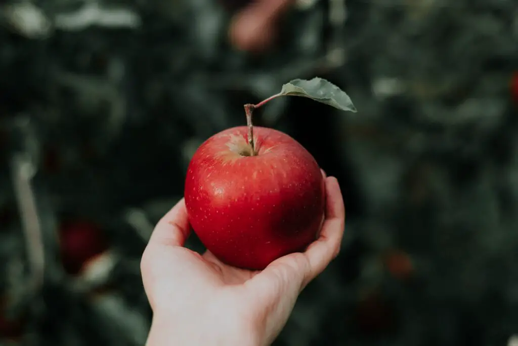 Do Apples lower Potassium?