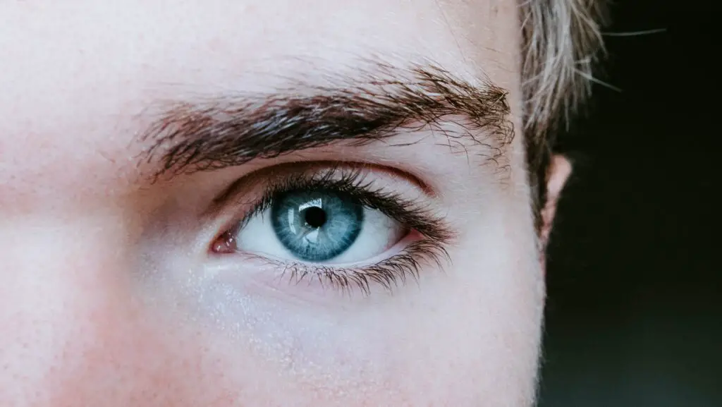 Do Grey eyes usually turn Brown?